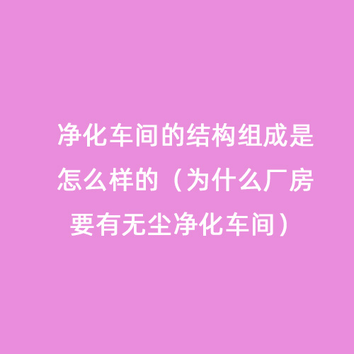 凈化車間的結(jié)構(gòu)組成是怎么樣的（為什么廠房要有無塵凈化車間）